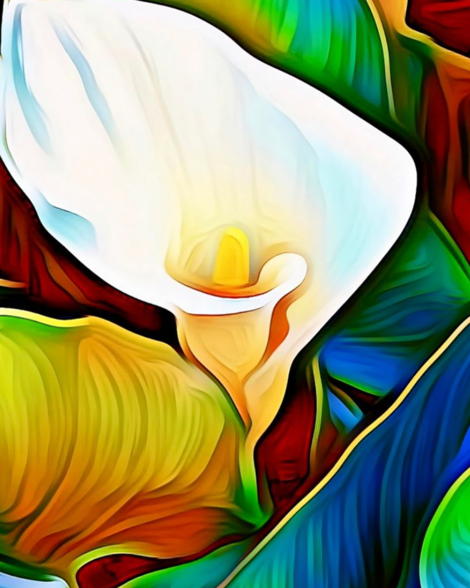 Calla Lily 7